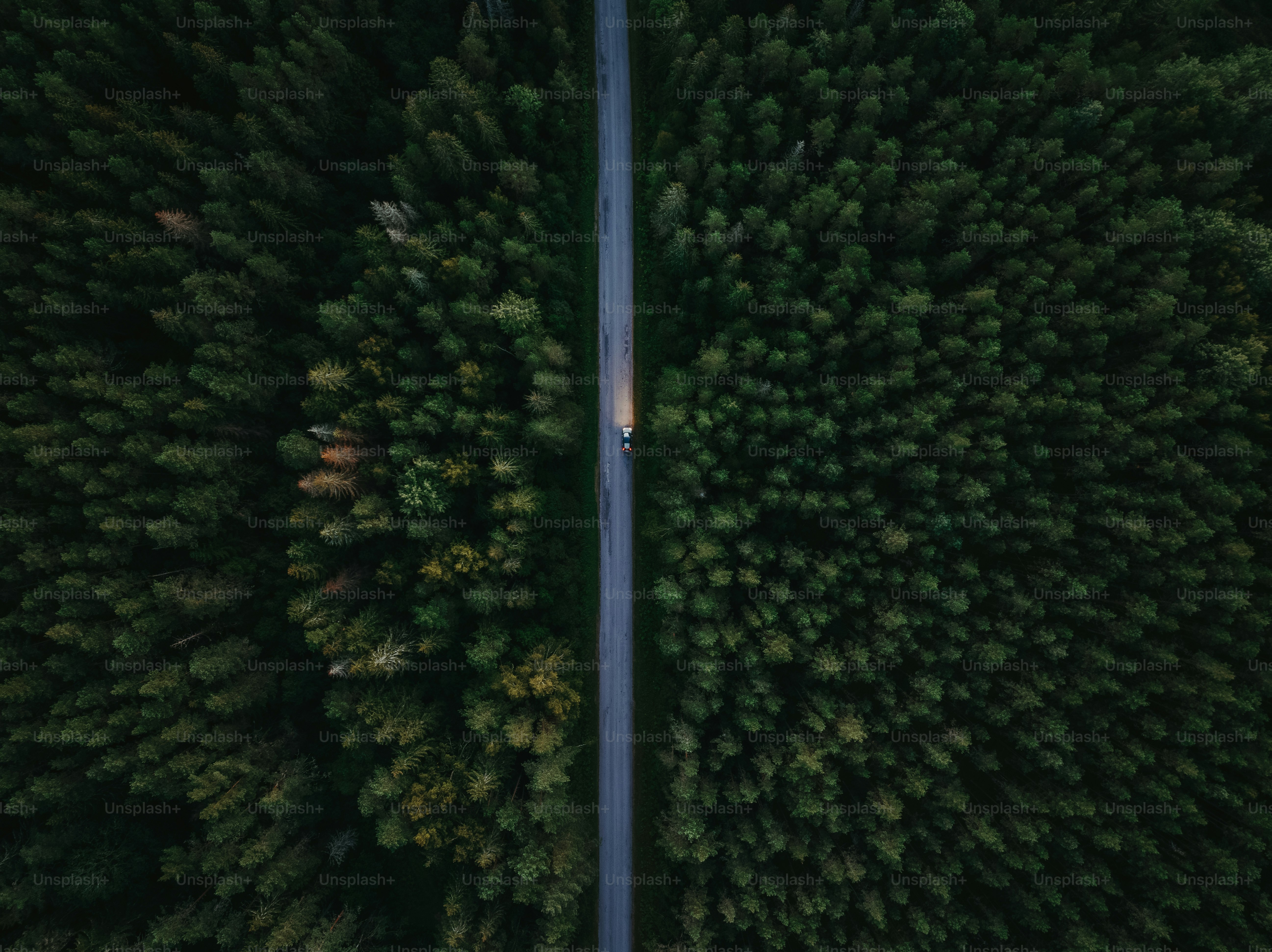 an aerial view of a road in the middle of a forest